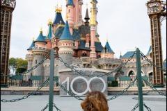 100 ans de DIsney