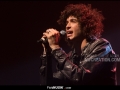 Julian Perretta