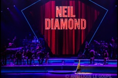Neil Diamond, 23 juin 2015, Zénith - Paris