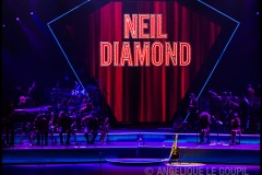 Neil Diamond, 23 juin 2015, Zénith - Paris