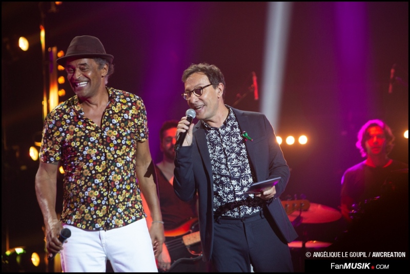 Yannick Noah, Didier Meillerand