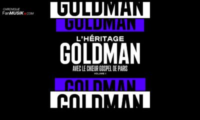 L'Héritage Goldman Vol 1