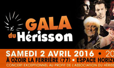 Gala du Hérisson : le 2 avril à Ozoir-la-Ferrière, un grand concert au profit de l'association du Hérisson